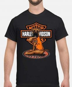 Harley Davidsion T-shirt Design 2D Full Printed Sizes S - 5XL - NMAR118